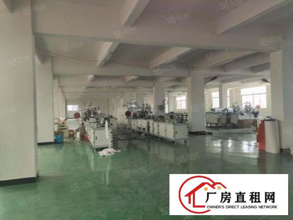  横沥镇原房东新出山厦四海工业区独院独门标准厂房三层4500平