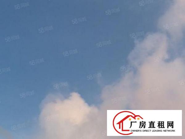  横沥三江新出原房东小面积招200平方租