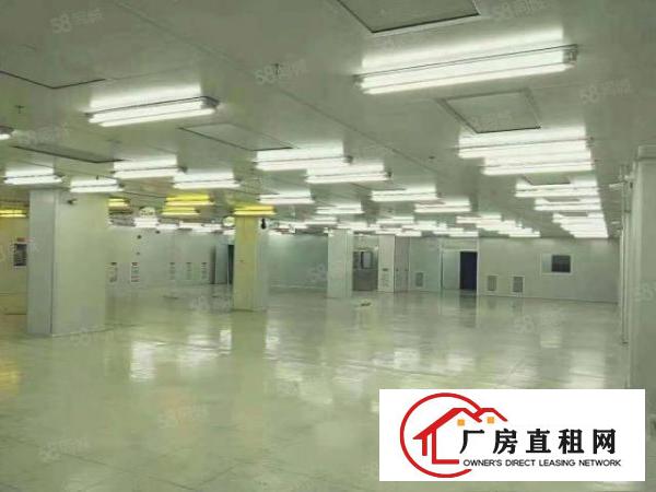  横沥三江新出原房东小面积招200平方租