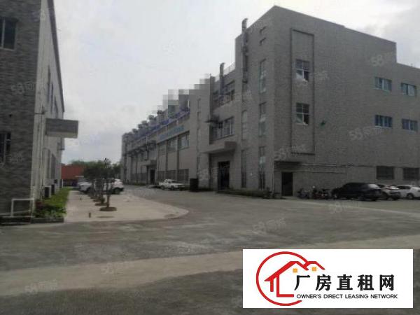  横沥三江工业区原房东带红本标准独院招租