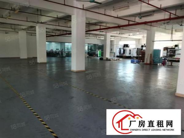  横沥三江工业区原房东带红本标准独院招租