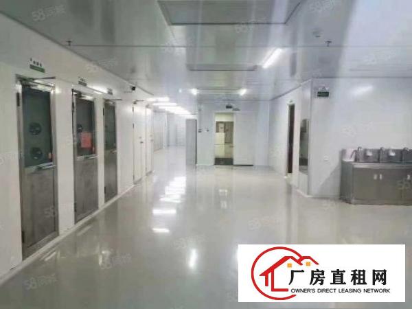  横沥新出标准厂房一楼800平方高度5米无公摊
