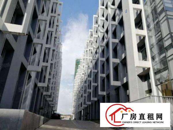  黄江高薪技术产业园全新标准厂房出租形象好易招工无中介费