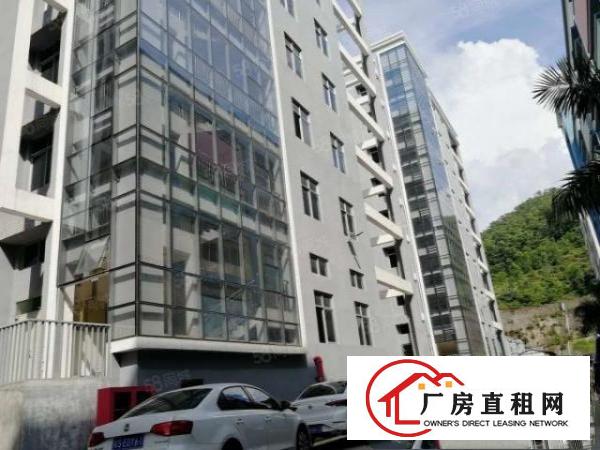  黄江高薪技术产业园全新标准厂房出租形象好易招工无中介费