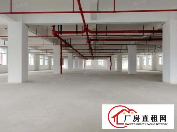  黄江高薪技术产业园全新标准厂房出租形象好易招工无中介费