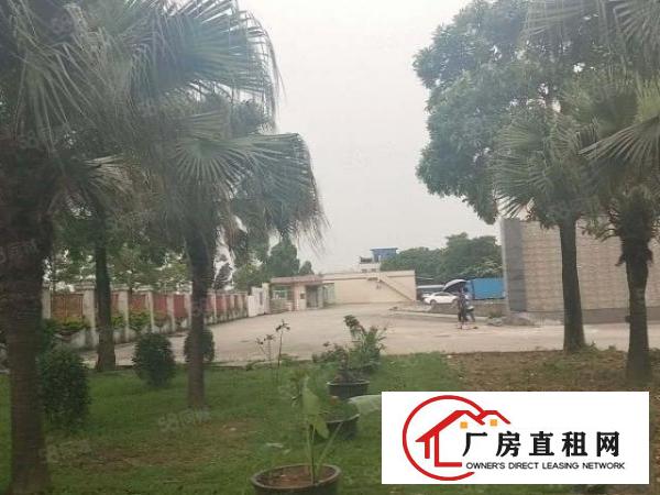  东部快速出口工业区园分租一楼2000平方（一楼高度6.5米）