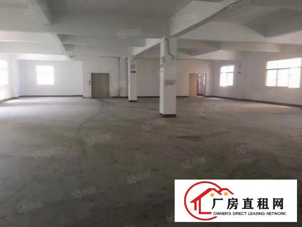  横沥新出原房东独门独院标准厂房