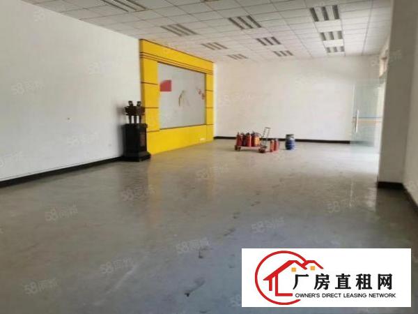  横沥新出原房东独门独院标准厂房