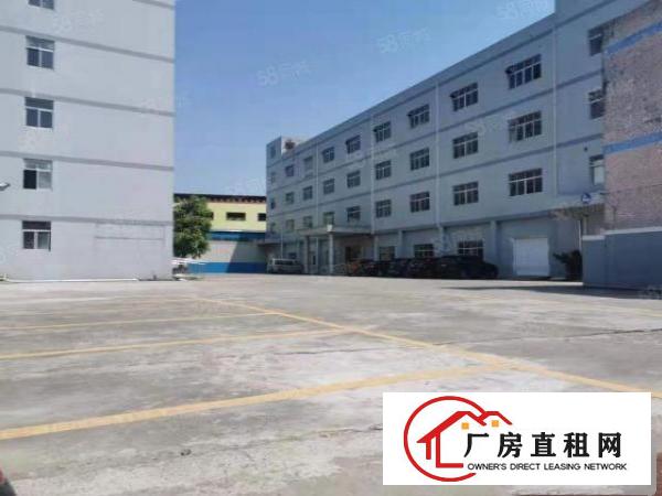  横沥新出500平方厂房，现成装修，水电齐全