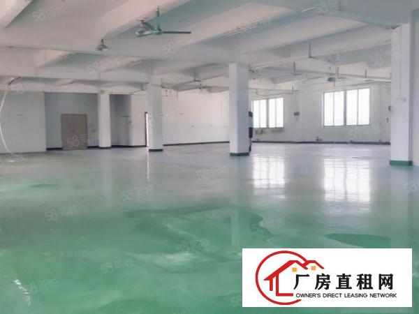  横沥新出500平方厂房，现成装修，水电齐全