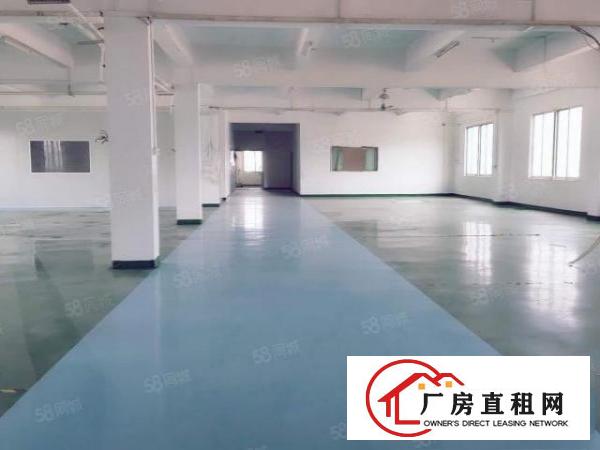  横沥新出500平方厂房，现成装修，水电齐全