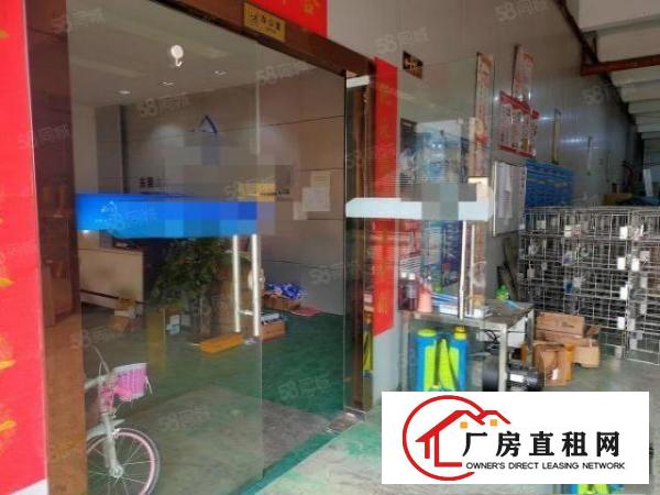  横沥原房东厂房1100平6米高，有牛角，消防喷淋，大小可分租