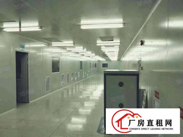  横沥裕林新出一楼标准厂房750平方进厂就可以生产，面积实量