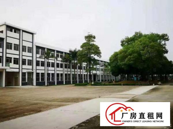  横沥裕林新出一楼标准厂房750平方进厂就可以生产，面积实量