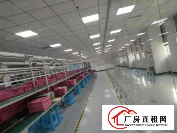  横沥裕林新出一楼标准厂房750平方进厂就可以生产，面积实量