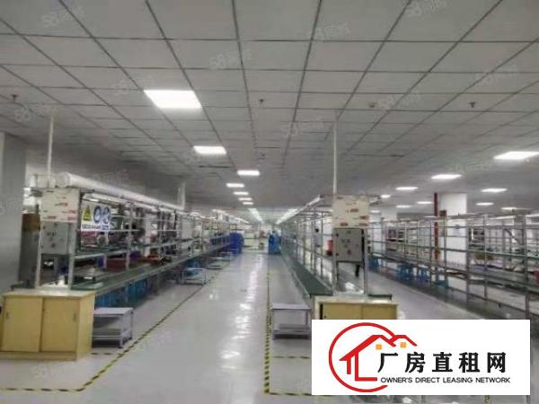  横沥裕林新出一楼标准厂房750平方进厂就可以生产，面积实量
