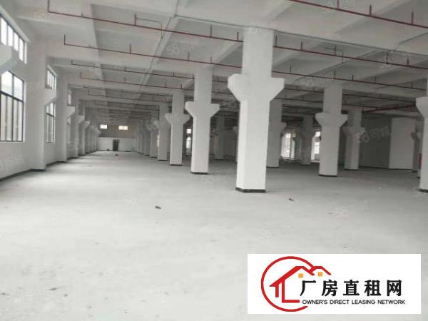  横沥裕林新出一楼标准厂房750平方进厂就可以生产，面积实量