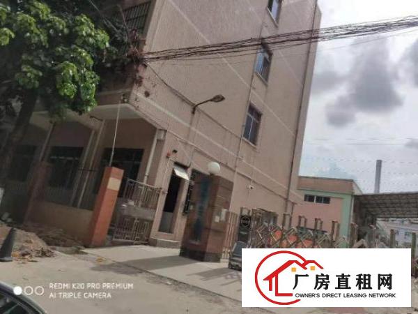  东坑（原房东双证齐全）独院标准厂房11500平方