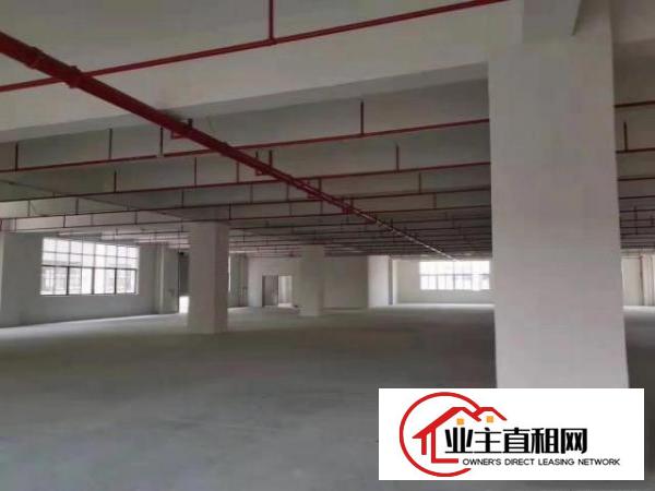  东坑原房东三楼2200平方，可做丝印喷油喷漆，价格便宜
