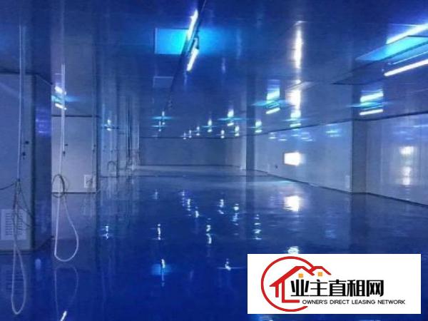  东坑镇原房东红本独院厂房4万方出租灵活分租大马路边