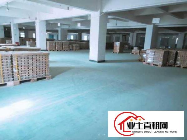  8元出租东坑彭屋工业区红本厂房全新地坪漆大小可分租
