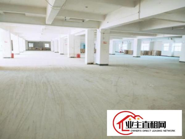  8元出租东坑彭屋工业区红本厂房全新地坪漆大小可分租