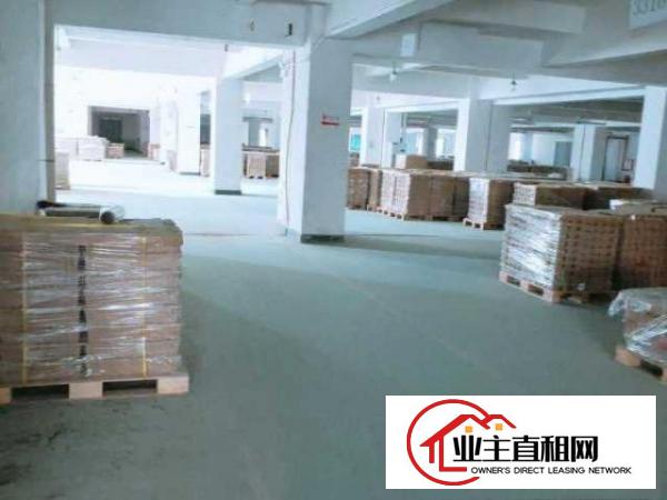  8元出租东坑彭屋工业区红本厂房全新地坪漆大小可分租