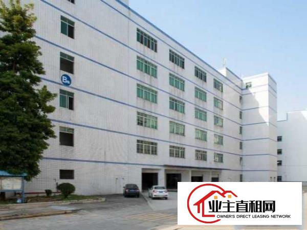  东坑独栋厂房2万平带地漆现成水电现成装修办公室可办环评