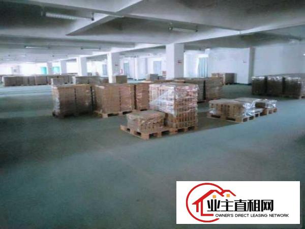  东坑独栋厂房2万平带地漆现成水电现成装修办公室可办环评