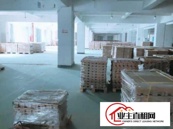  东坑独栋厂房2万平带地漆现成水电现成装修办公室可办环评