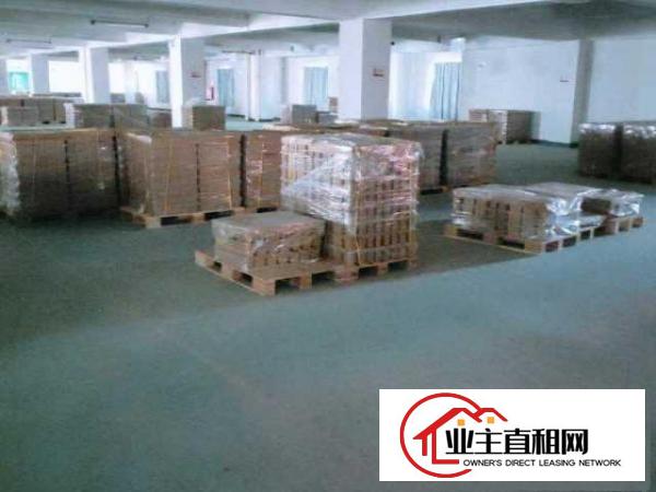  东坑独栋厂房2万平带地漆现成水电现成装修办公室可办环评