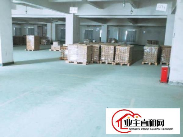  东坑独栋厂房2万平带地漆现成水电现成装修办公室可办环评