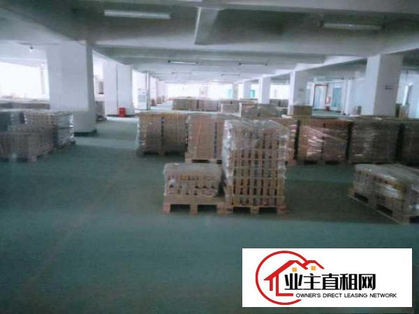  东坑独栋厂房2万平带地漆现成水电现成装修办公室可办环评
