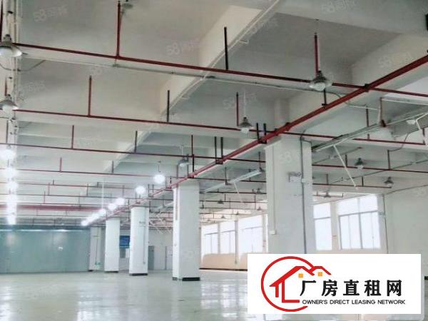  东莞市东坑镇原房东高新技术产业园楼上精装修厂房2200平方出