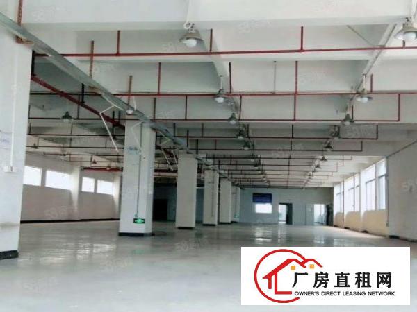  东莞市东坑镇原房东高新技术产业园楼上精装修厂房2200平方出