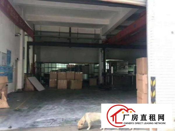 东坑村新空出标准一楼1600方，高度7米带航车，可进大车