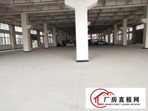  东坑镇新能德旁标准一楼1800方，带牛角高度6米，可进大车