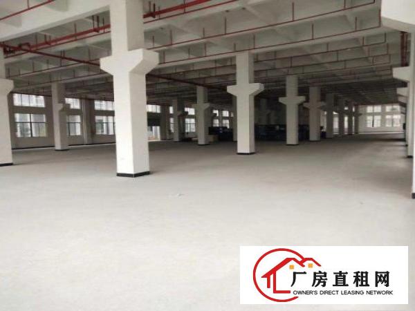  东坑镇新能德旁标准一楼1800方，带牛角高度6米，可进大车