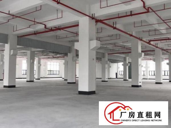  东坑标准一楼3000方，带牛角消防喷淋，大小分租