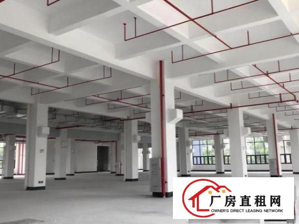  东坑标准一楼3000方，带牛角消防喷淋，大小分租