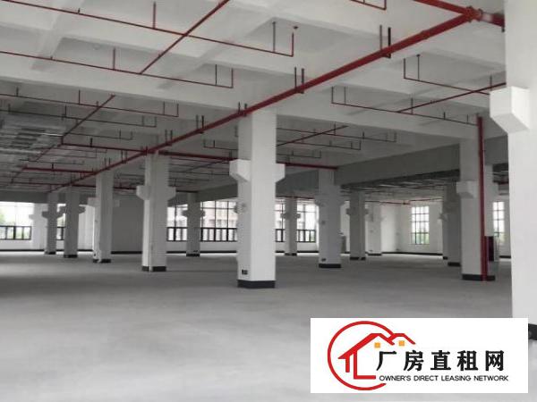  东坑标准一楼3000方，带牛角消防喷淋，大小分租