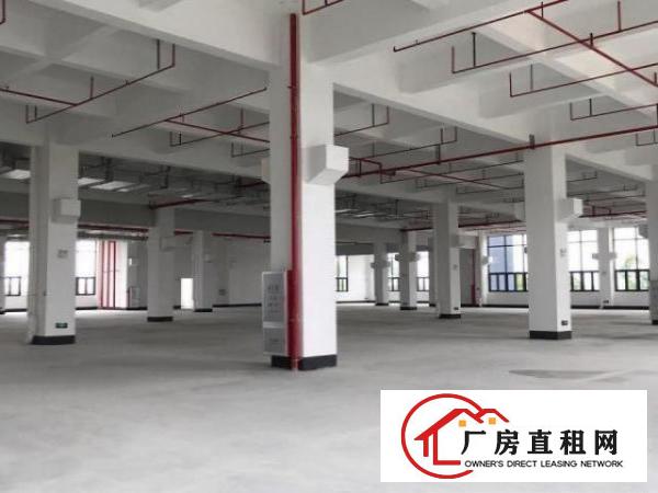  东坑标准一楼3000方，带牛角消防喷淋，大小分租