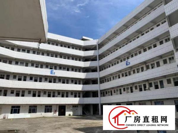  东莞东坑镇厂房、宿舍业主直租，使用率高，空地大，价格低