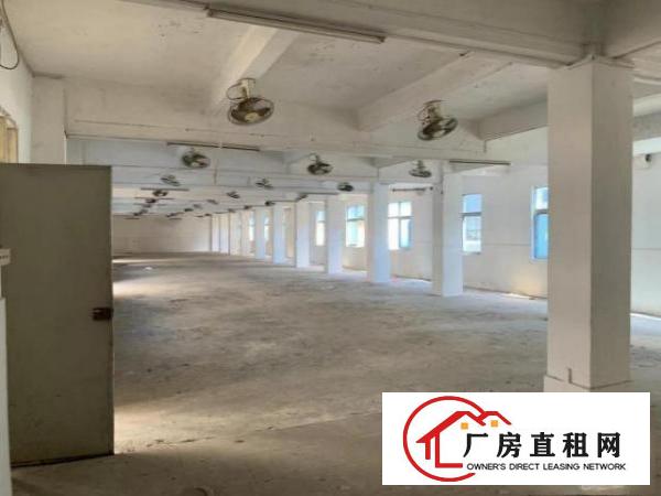  东莞东坑镇厂房、宿舍业主直租，使用率高，空地大，价格低