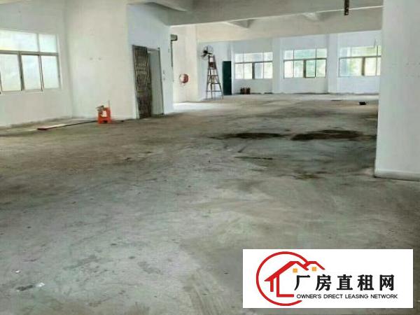  近松山湖独门独院厂房