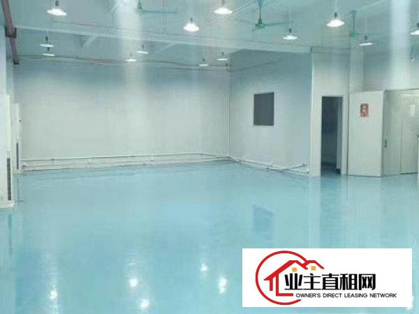  出租东坑东坑城区，250平厂房，水电齐全，价格便宜，急租急租