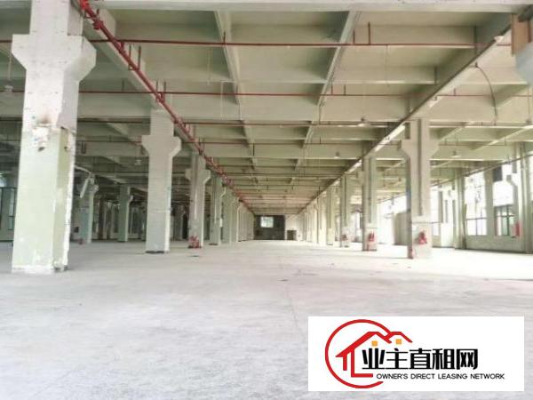  东坑镇新出高大尚标准独门独院厂房出租《证件齐全》工业用地