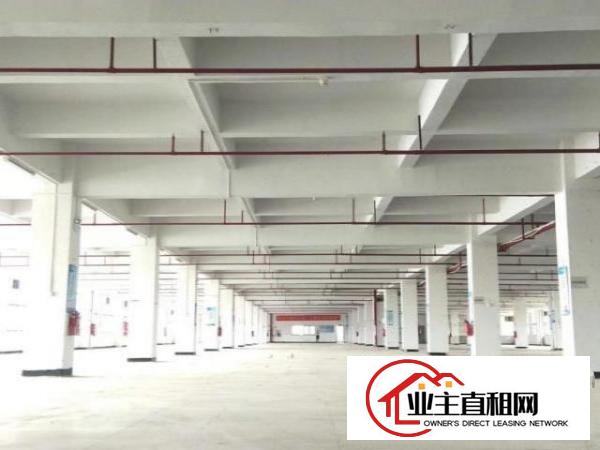  东坑镇新出高大尚标准独门独院厂房出租《证件齐全》工业用地