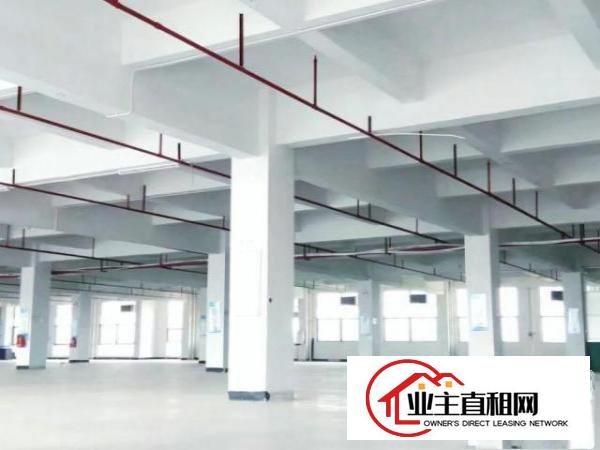  东坑镇新出高大尚标准独门独院厂房出租《证件齐全》工业用地