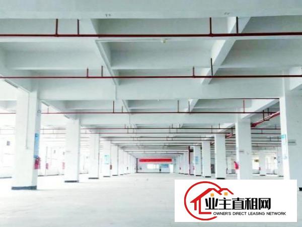  东坑镇新出高大尚标准独门独院厂房出租《证件齐全》工业用地
